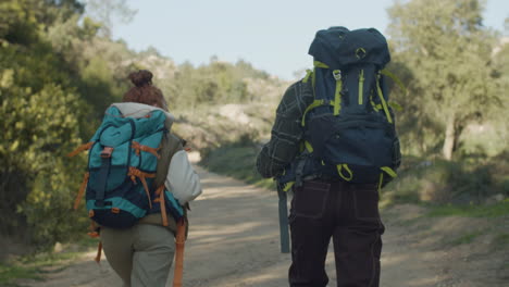 vista trasera de dos jóvenes excursionistas caminando por un camino de tierra en un día soleado mientras llevan mochilas y hablan