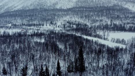 Volando-Sobre-El-Bosque-Nórdico-En-Invierno