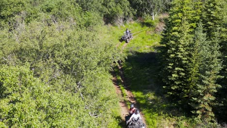 tourist on quad bike tour through hallormsstaður national forest in iceland, aerial