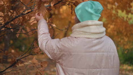 partial view of person in casual pants and sneakers standing on leafy autumn path beside dog, orange foliage in background as pet appears curious and ready to move ahead through scenic park