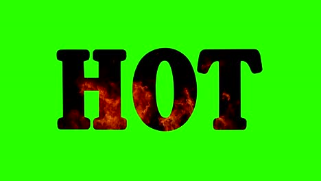 high resolution text with word hot shape filled with real flame on chroma key