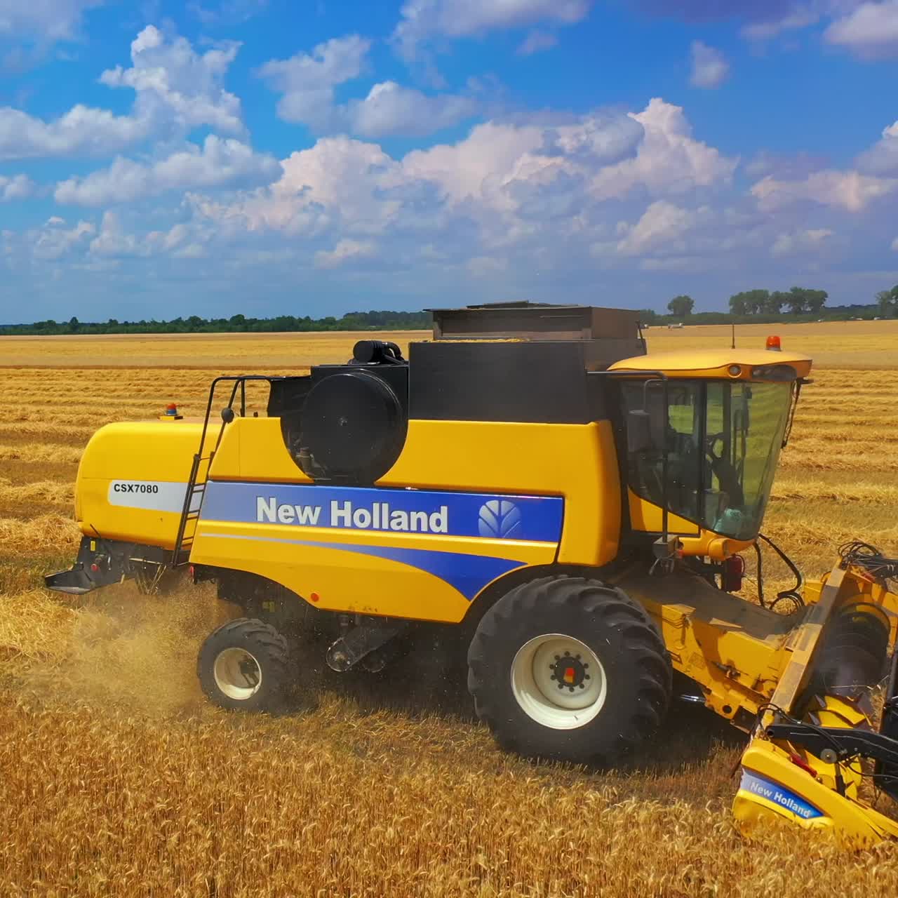 Harvester machine to harvest wheat field working. Combine harvester working on a wheat field