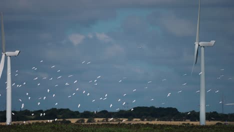 Ein-Schwarm-Zugvögel-Fliegt-An-Windkraftanlagen-Vorbei