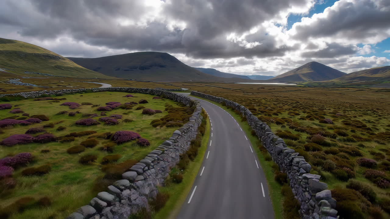 Winding Road Through Heather Fields and Mountains