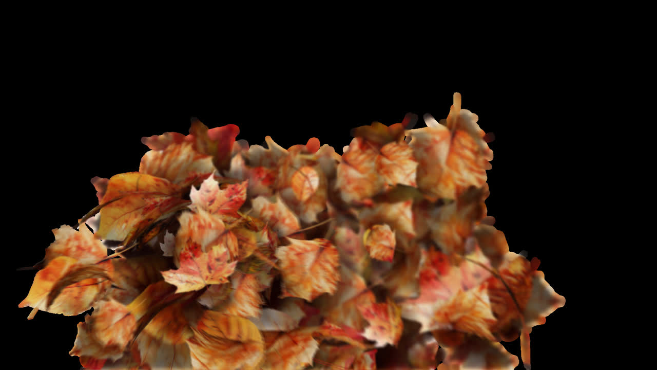 Autumn Leaves Transition or Reveal Element with Alpha Channel