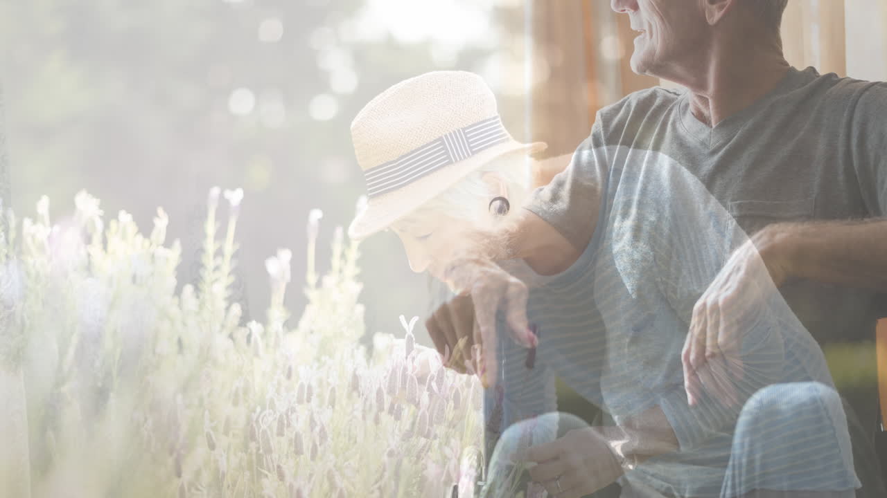 식물 위에서 행복한 고위 백인 커플의 애니메이션