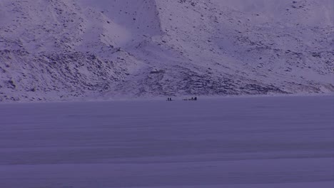 an eskimo dogsled heads across the frozen tundra in the distance