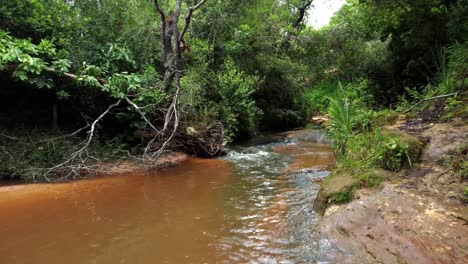 Arroyo-Virgen-Y-Cristalino-Con-Agua-Transparente-En-Plena-Naturaleza