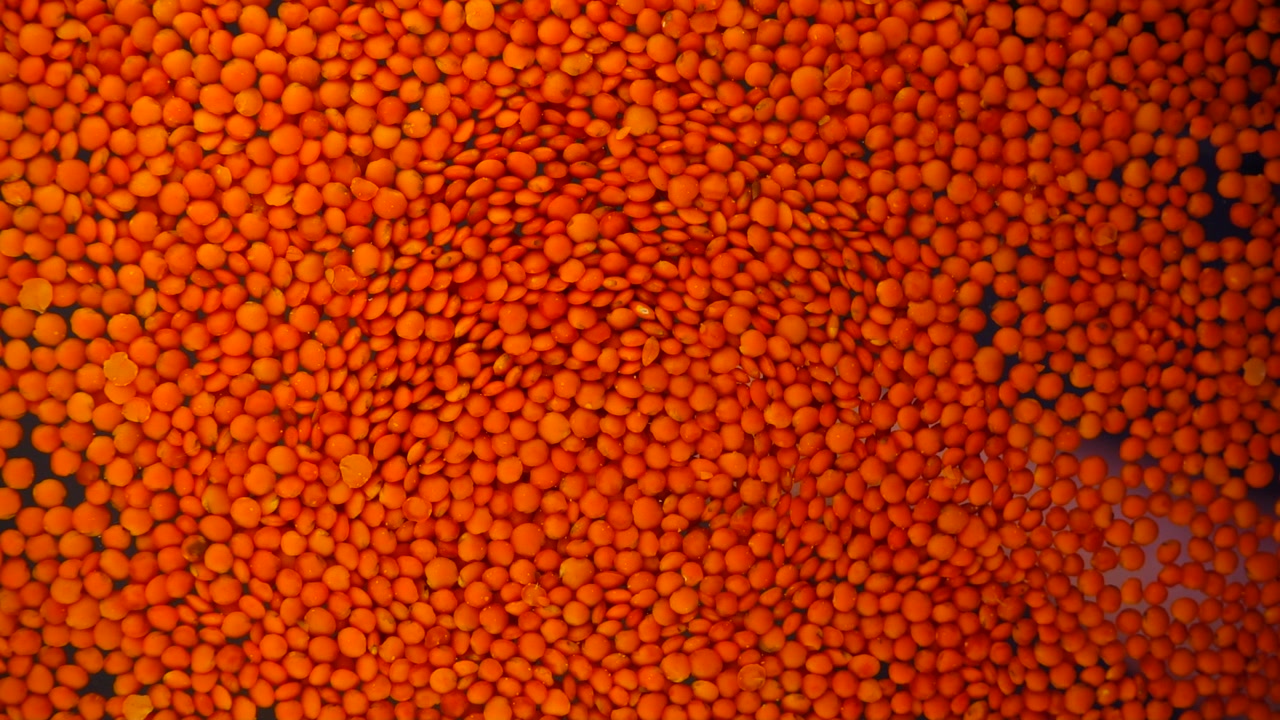 Verser les lentilles sur la surface en verre. Vue du dessous. Ralenti