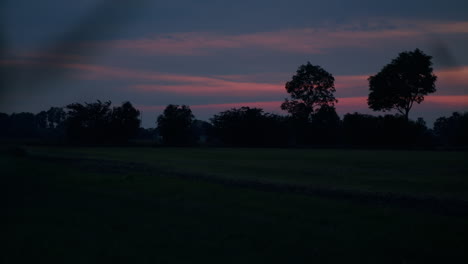 Slow-tilt-up-from-the-ground-to-some-trees,-bushes,-and-a-colourful-cloudy-sky-during-sunrise