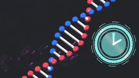 Animation-of-dna-strand-and-clock-on-black-background