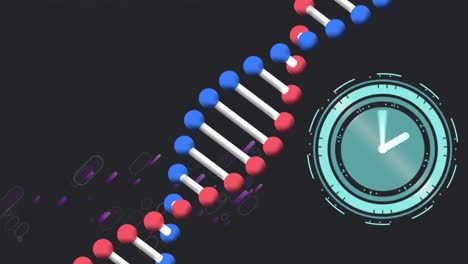 animation of dna strand and clock on black background