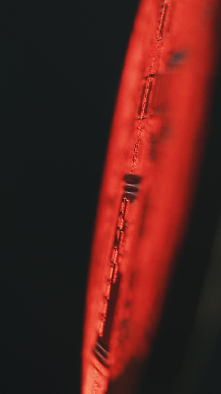 Close-up of a Circuit Board or Guitar Fretboard, Red Light