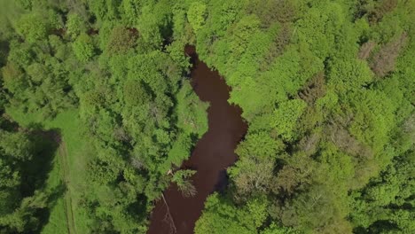 An-Einem-Sonnigen-Sommertag-Fließt-Ein-Gewundener-Fluss-Zwischen-Grünen-Bäumen-Und-Sträuchern