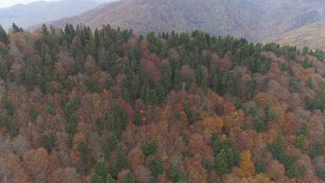 Schöne-Herbstgebirgslandschaft-In-Bulgarien