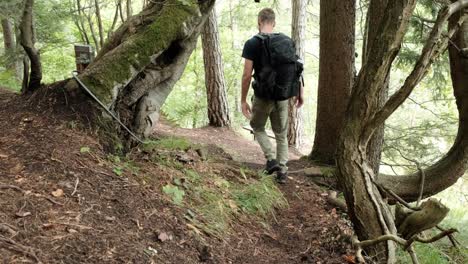 Un-Hombre-Caminando-Por-Un-Bosque-Muy-Verde-En-Un-Día-Nublado-En-Eslovenia-Ubicado-Cerca-Del-Pueblo-De-Gozd-Martuljek