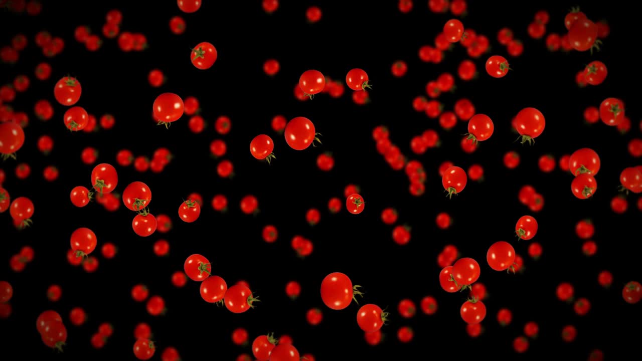 검은색 바탕에 많은 신선한 토마토를 날아. 유기 채소. 익은 맛있는 체리 토마토. 토마토 회전의 3d 루프 애니메이션.
