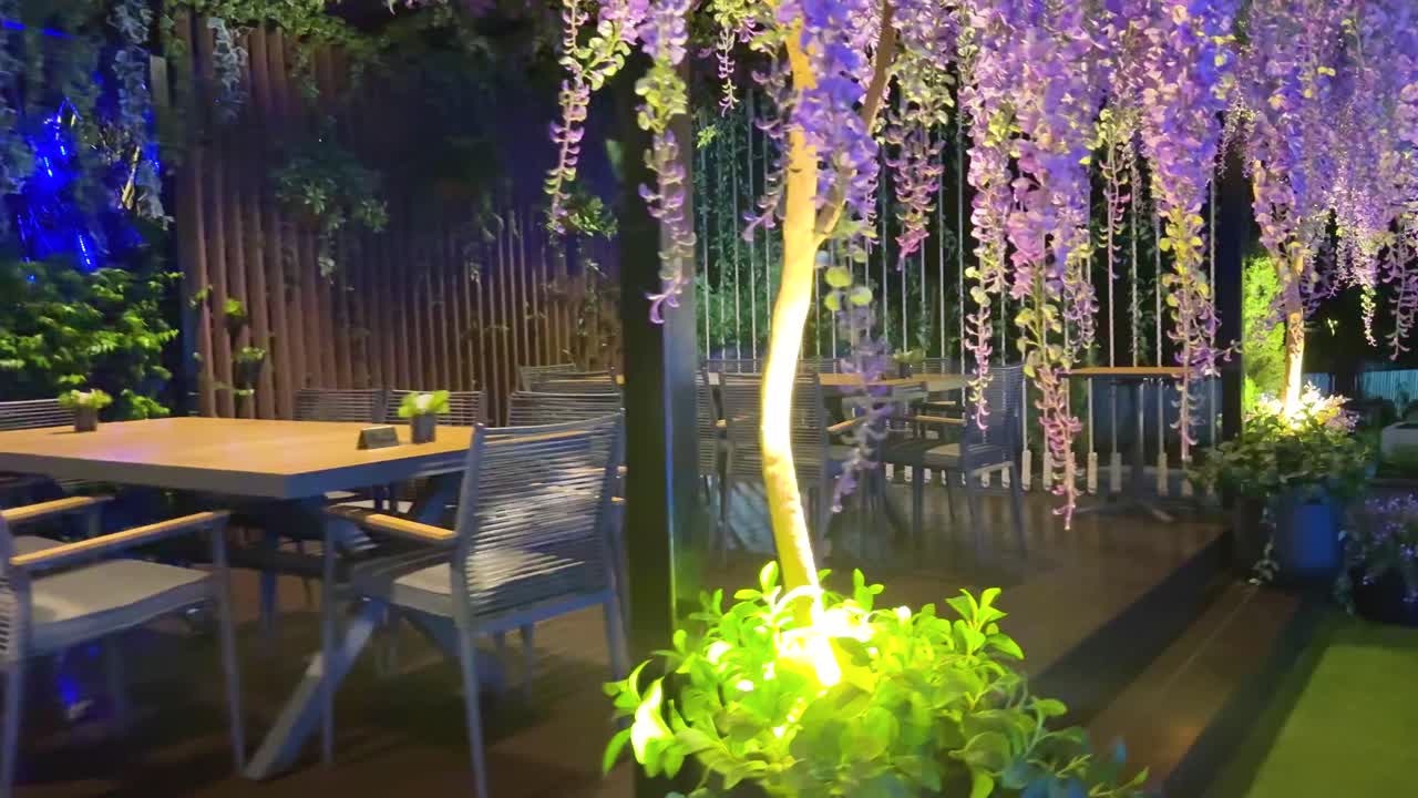 야외 레스토랑 밤