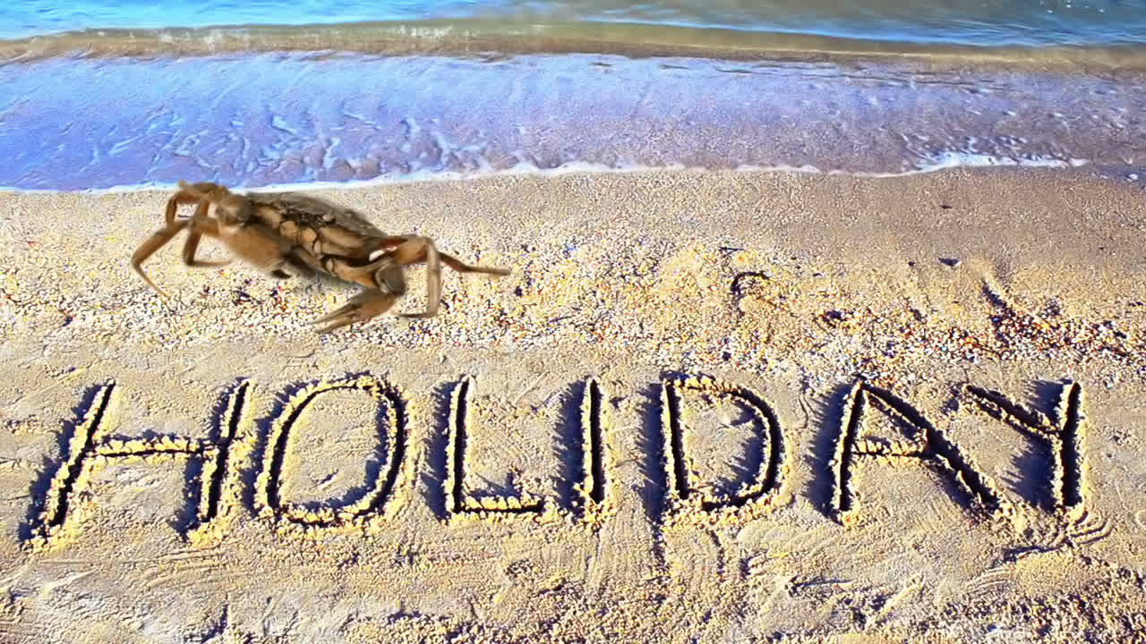 Krab en een inscriptie in het zand, het strand. Het woord 'vakantie' in het zand