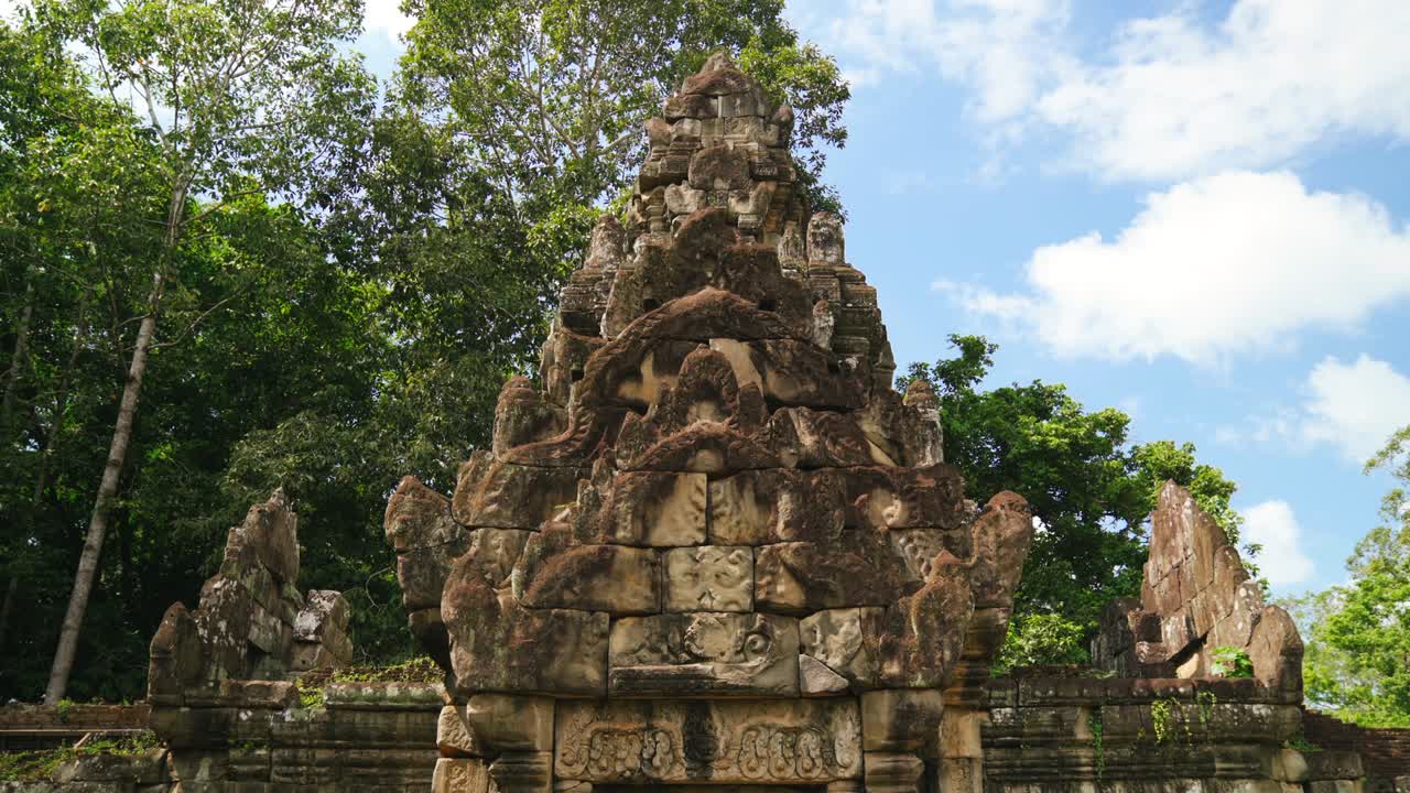 ta som en la jungla de angkor wat cerca de siem reap, camboya