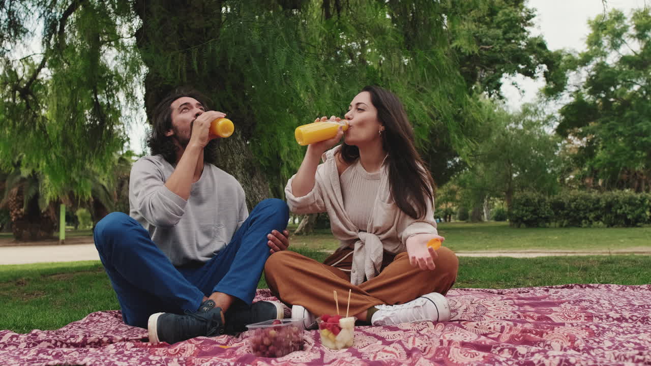 Couple Enjoying Picnic in the Park