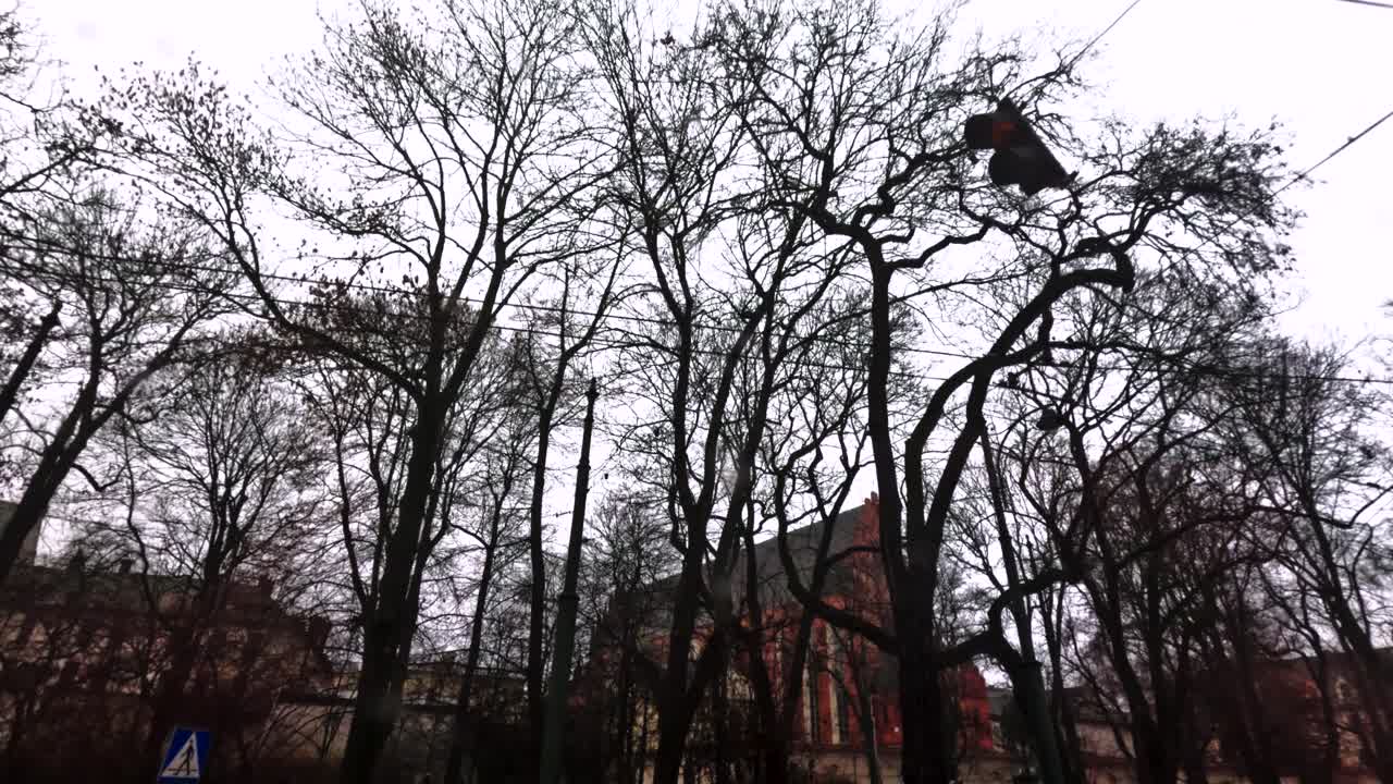 Le nuvole riempiono il cielo sopra un parco cittadino. Gli alberi si ergono con i rami spogli. Dei cavi elettrici corrono sopra. Tra gli alberi è visibile una chiesa. Le persone passeggiano mentre il clima è fresco