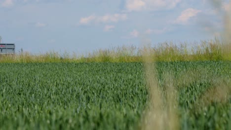 Tractor-Verde-Con-Remolque-Conduce-A-Través-De-Un-Hermoso-Campo-De-Hierba,-De-Lado