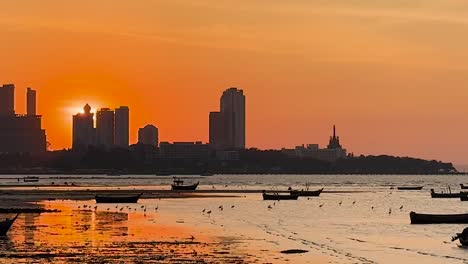 a vibrant sunset casts an orange glow over the city skyline and boats on the calm water.