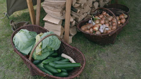 Vegetables in Baskets by a Firewood Pile