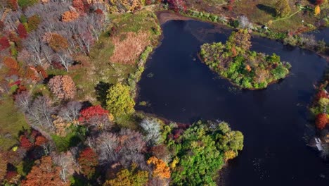 Una-Vista-Aérea-De-Arriba-Hacia-Abajo-Sobre-árboles-Coloridos-Y-Un-Lago-En-Un-Día-Soleado-En-Nueva-Jersey