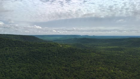 La-Selva-De-Misiones-Es-Uno-De-Los-Bosques-Tropicales-Con-Mayor-Biodiversidad-Del-Mundo.