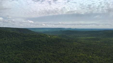 Der-Misiones-Dschungel-Ist-Einer-Der-Artenreichsten-Tropischen-Regenwälder-Der-Welt