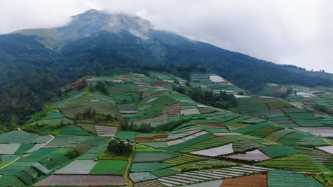 patchwork quilt of agricultural fields on mountain slope aerial view, indonesia