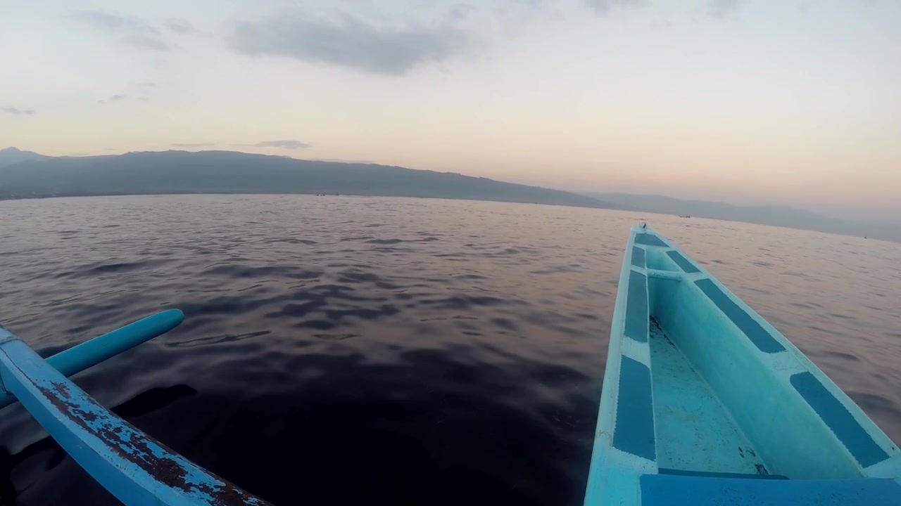 Lovina Beach - Bali - Barche da pesca - Delfini