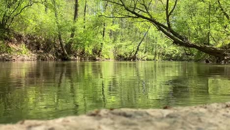 river flows through a green forest towards the camera that's sitting in the middle of the water on a rock that's visible in the bottom foreground