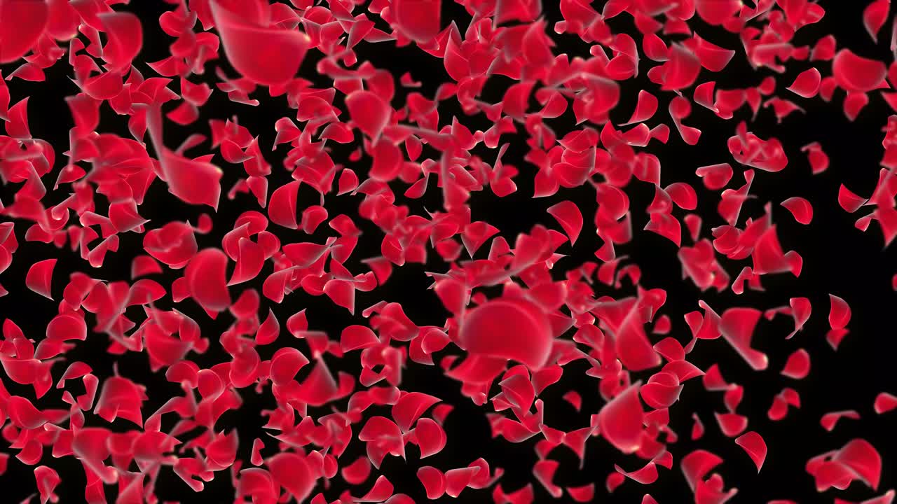 Realistic abstract rose falling motion loop background green screen engagement marriage romantic