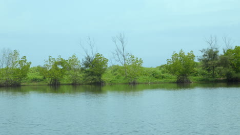 Playas-Tropicales-En-India-Kerala-Con-Cocoteros-Y-Lagos