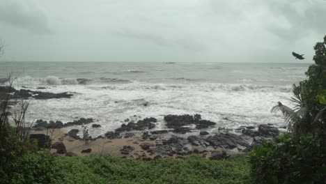 beach with a lot of vegetation, rocks and rough sea on a cloudy day