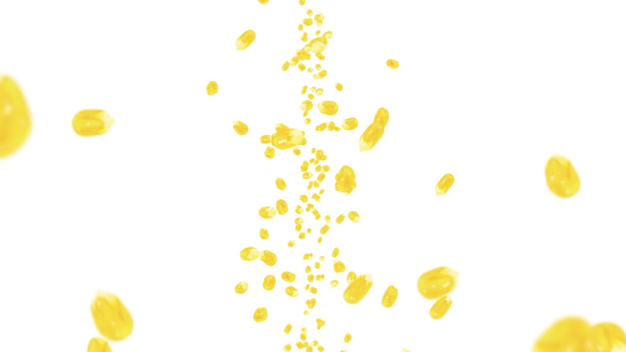 색 배경에 많은 옥수수 어리를 날려. 노란 달한 옥수스 씨. 채식주의자. 건강한 음식. 옥수수가 회전하는 3d 루프 애니메이션.