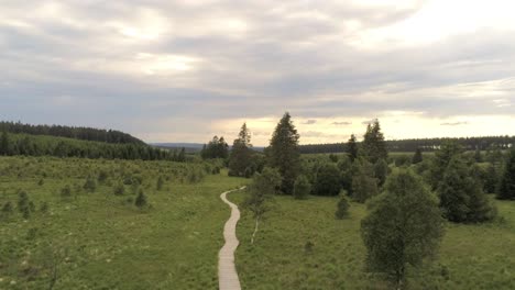 wooden path through the grass