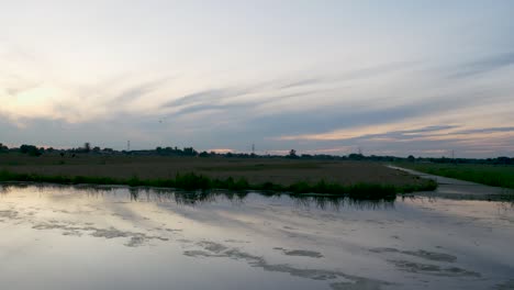 Una-Toma-Amplia-De-La-Campiña-Holandesa,-Llamada-Pólder,-Cerca-De-Gouda,-Vemos-Pájaros-Volando,-Es-Alrededor-De-La-Puesta-Del-Sol