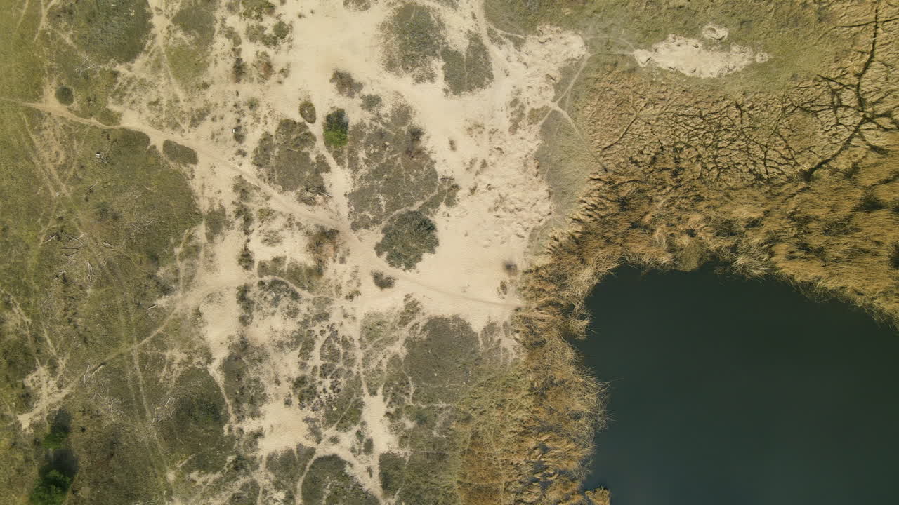 vista superior de la superficie del paisaje agrietada en la orilla del lago