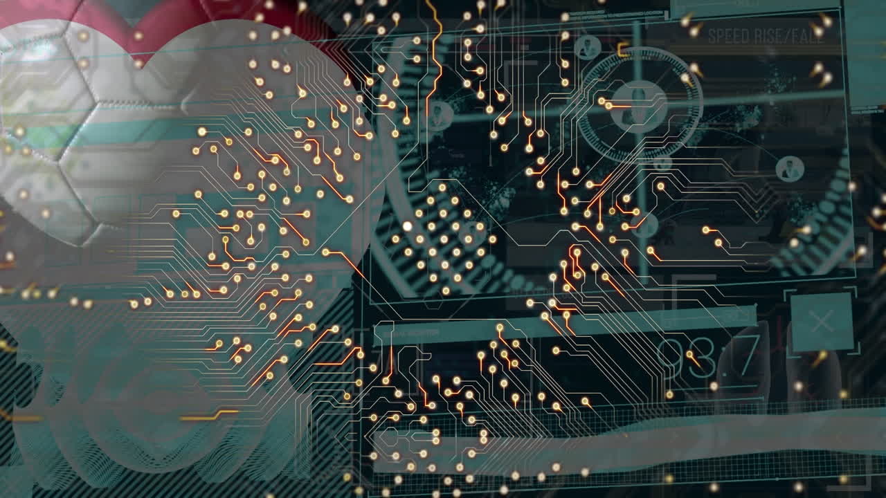 공과 심장의 애니메이션 데이터 처리에 대한