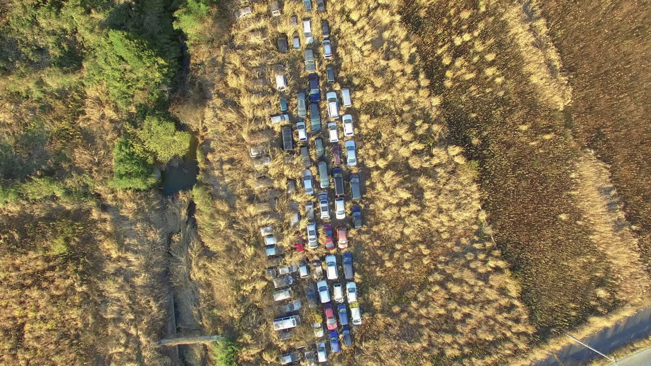 Vista aérea de carros abandonados em Fukushima, Japão. A natureza retoma os veículos.