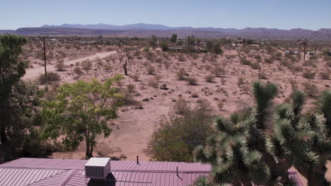 reveal of joshua tree california neighborhood in desert