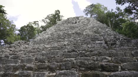 ancient mayan structure stands tall among trees in a jungle environment. stone steps lead upward to the ruins, revealing their weathered texture. sunlight filters through the canopy.