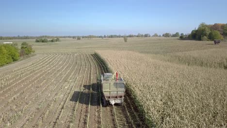 Closing-in-to-a-corn-harvester,-working-on-the-field,-aerial-shot