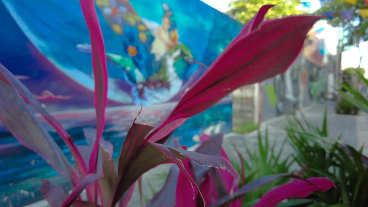 화려한 거리 예술을 배경으로 한 이국적인 보라색 식물, 멕시코