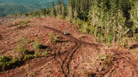 skidder machine in open clearcutting forest plot driving on mud track, destruction of natural woodland