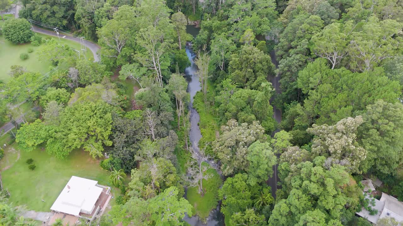 Aerial footage captures dense greenery and winding river in Gold Coast's Tullebudgera Hinterland. Bright daylight enhances the vibrant landscape
